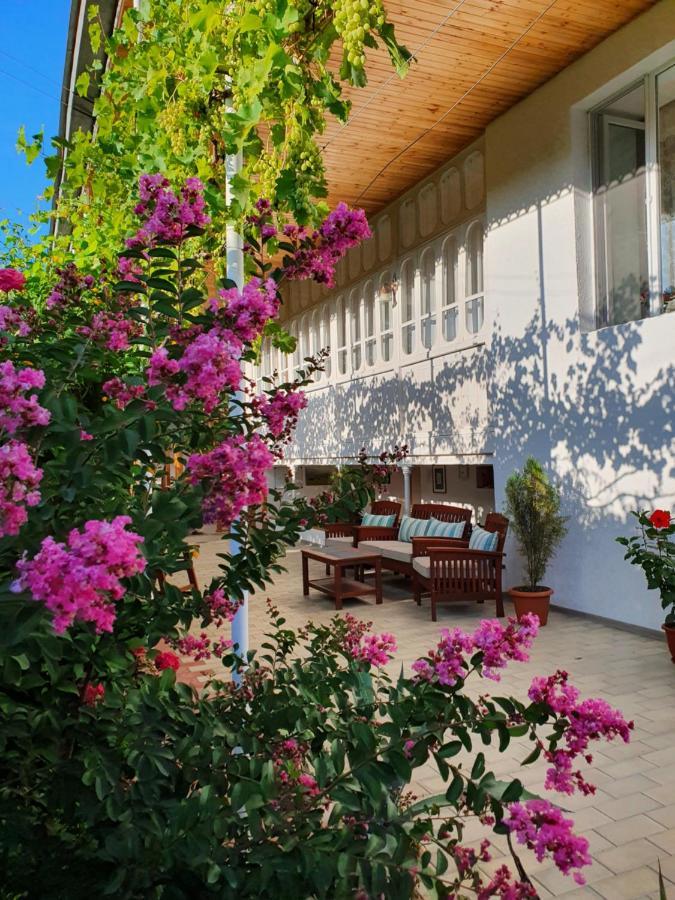 Nazy'S Guest House Joqolo Ngoại thất bức ảnh